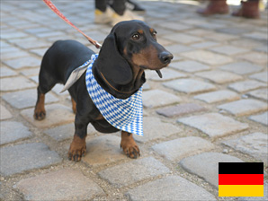 Ferienhaus mit Hund in Bayern