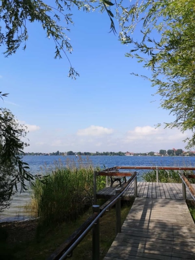Ferienhaus Urlaub mit Hund - Mecklenburgische Seenplatte bei Waren